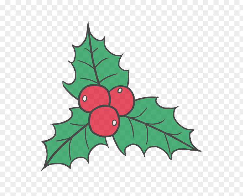 Flower Flowering Plant Holly PNG