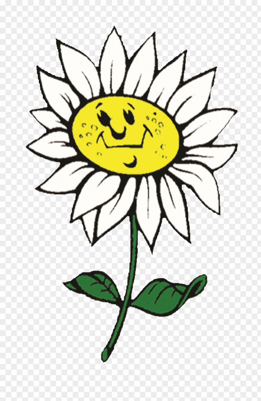 Persil Cut Flowers Floral Design Sunflowers Plant Stem Clip Art PNG