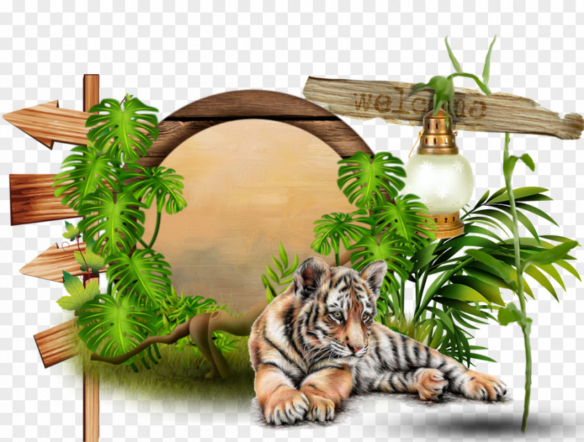 Tiger Felidae Man Big Cat CanalBlog PNG