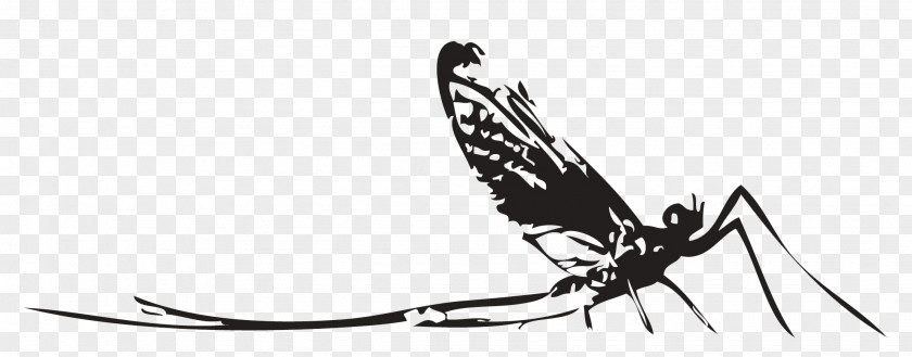 Butterfly Mosquito Nymph Insect Clip Art PNG