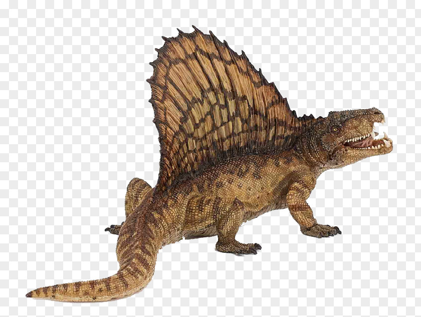Dinosaur Tyrannosaurus Spinosaurus Acrocanthosaurus Dimetrodon PNG