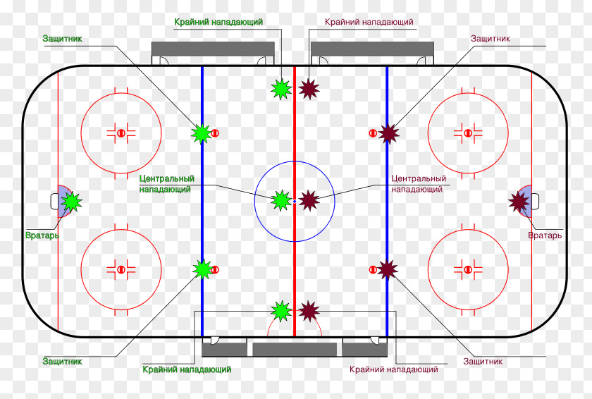 Field Hockey Ice Rules Puck PNG