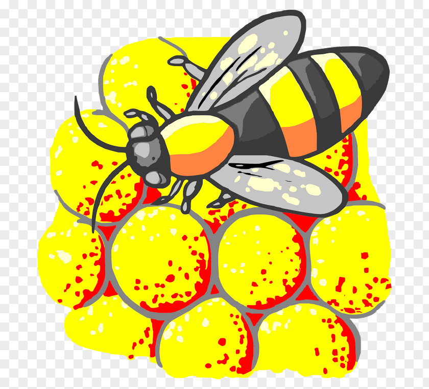 Insect Honey Bee Monarch Butterfly Pollen PNG