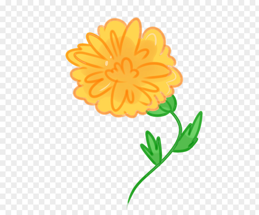 Marigold Mexican Calendula Officinalis Flower Drawing Clip Art PNG