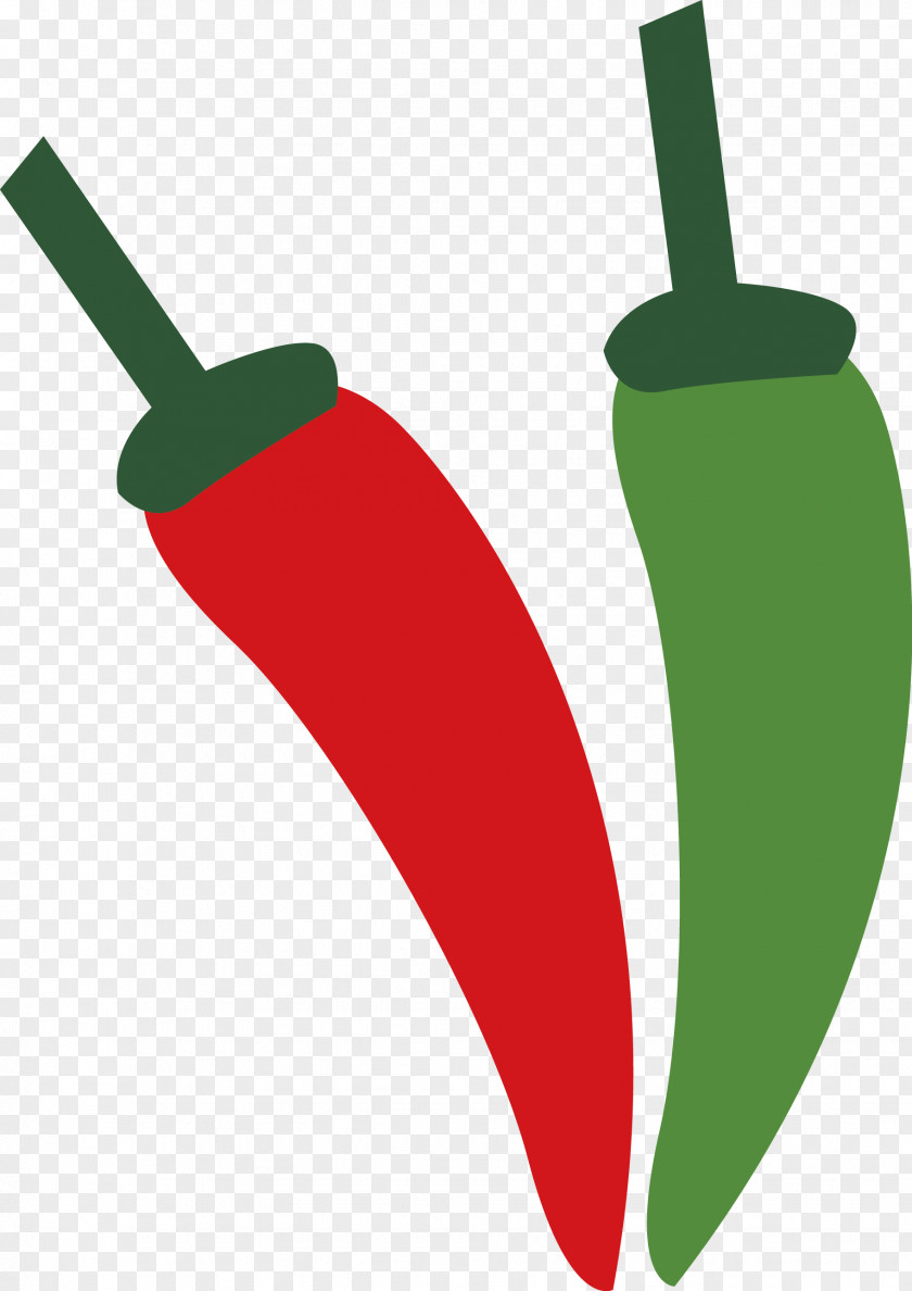 Pepper Vector Tabasco Spice Chili PNG