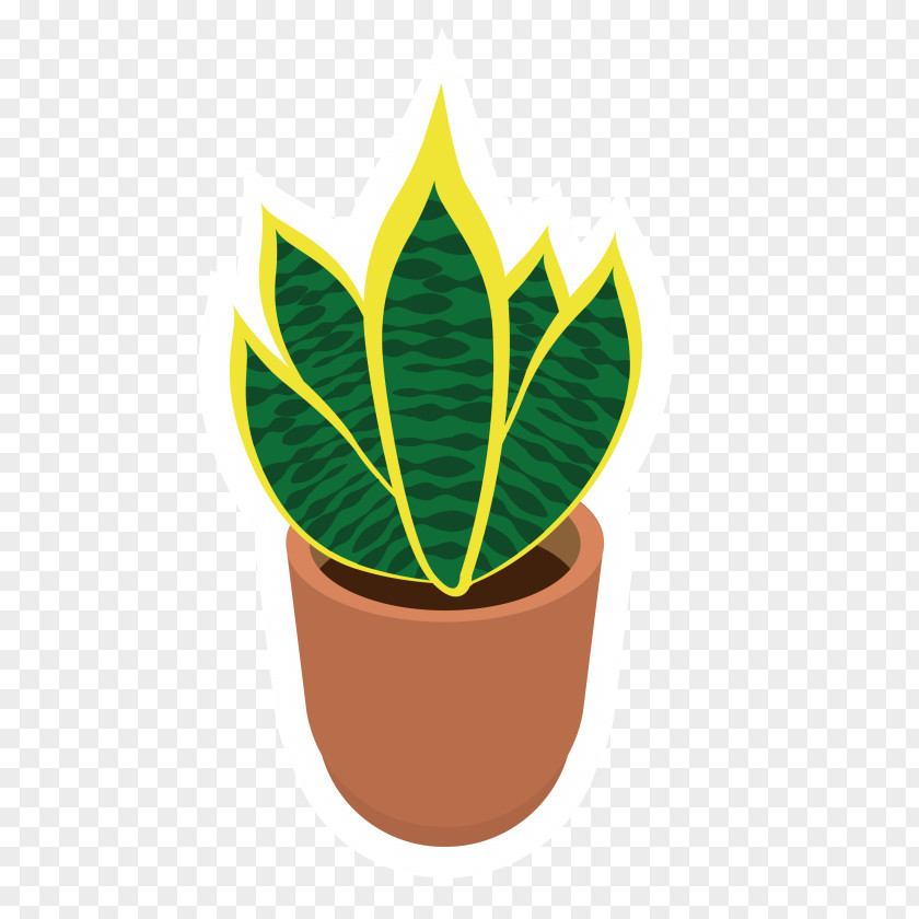 Botanical Succulent Plant Vector Graphics Cactus Plants Bonsai PNG