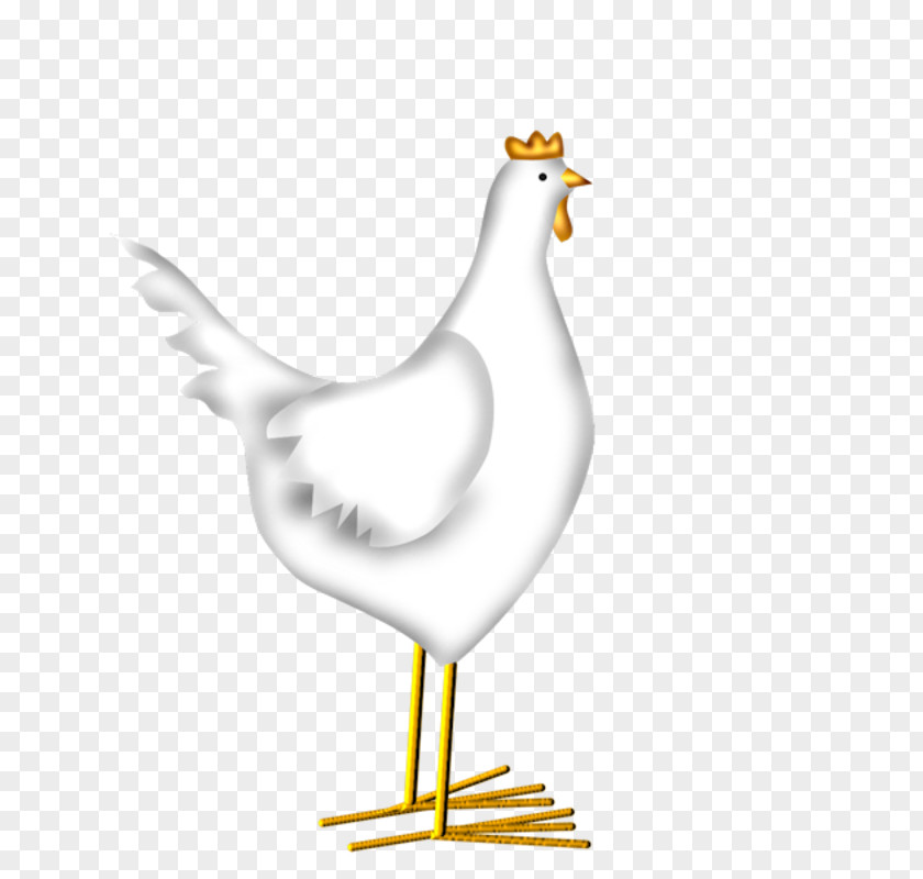 Chicken Rooster Design Adobe Photoshop Goose PNG
