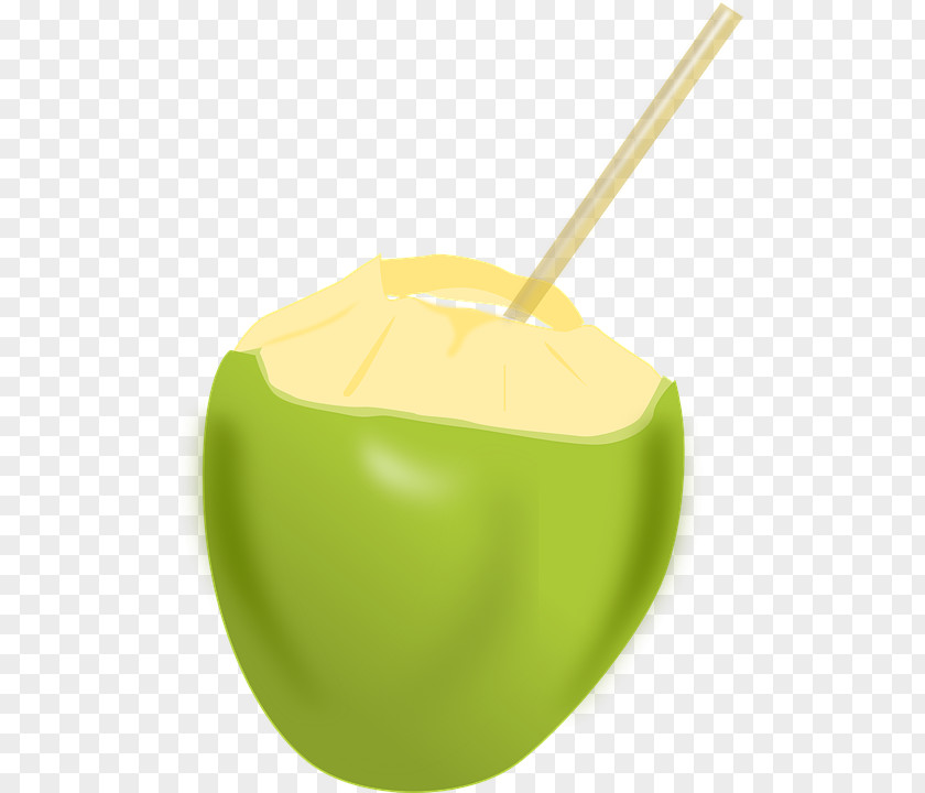 Coconut Water Clip Art PNG