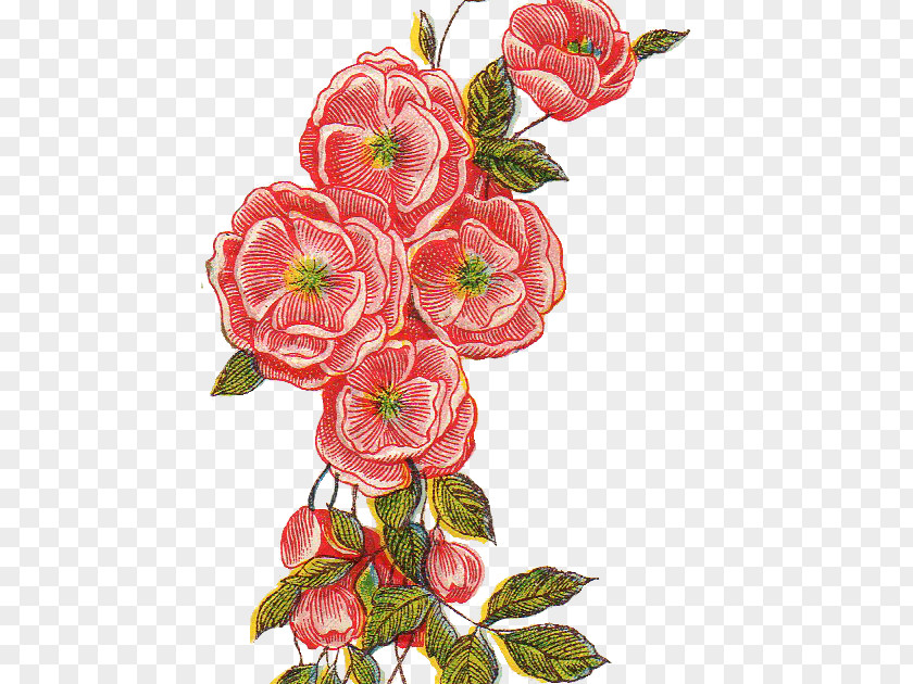 Flower Floral Design Clip Art PNG