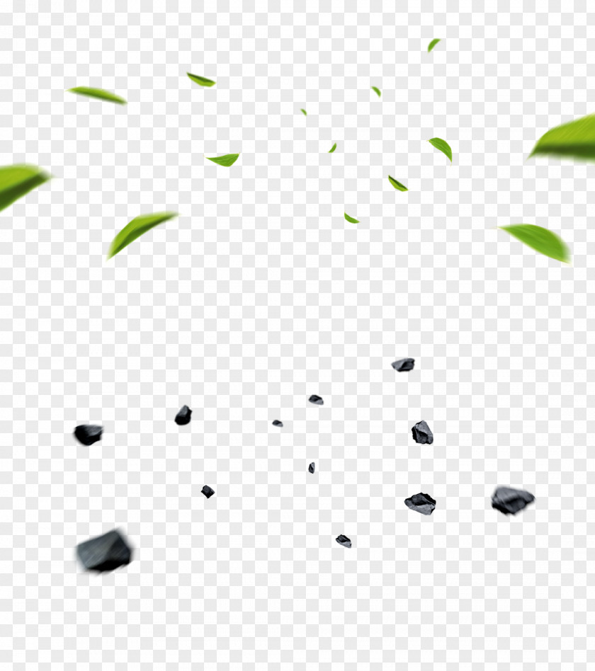 Leaf Download PNG