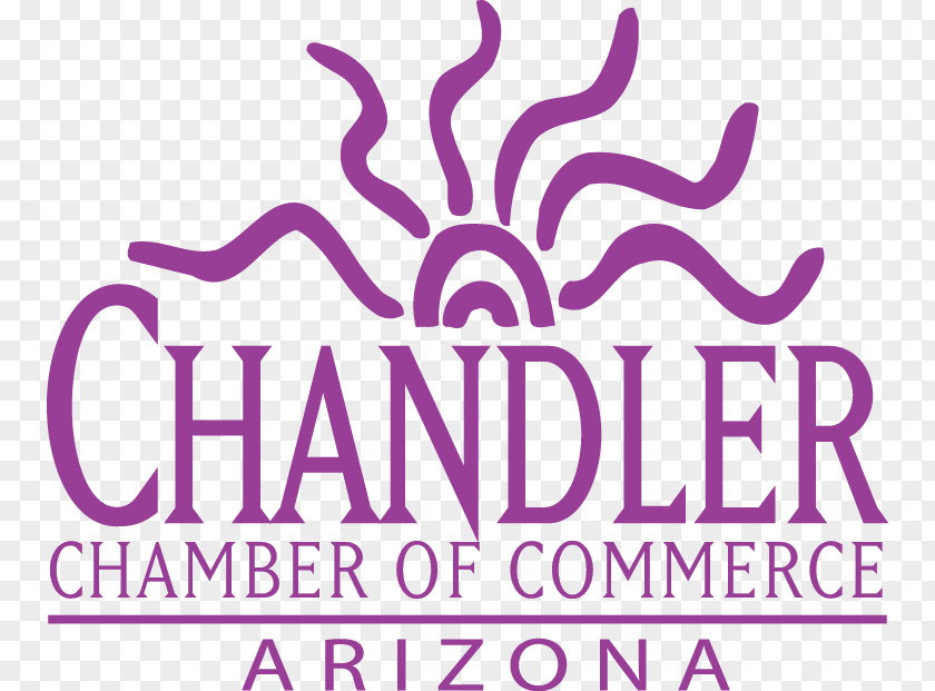 Black Friday Flyer Clip Art Chandler Chamber Of Commerce Brand Pink M PNG