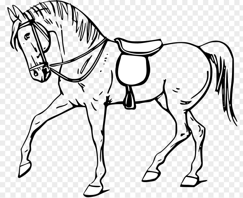 Bowling Pin Outline Tennessee Walking Horse Stallion Drawing Clip Art PNG