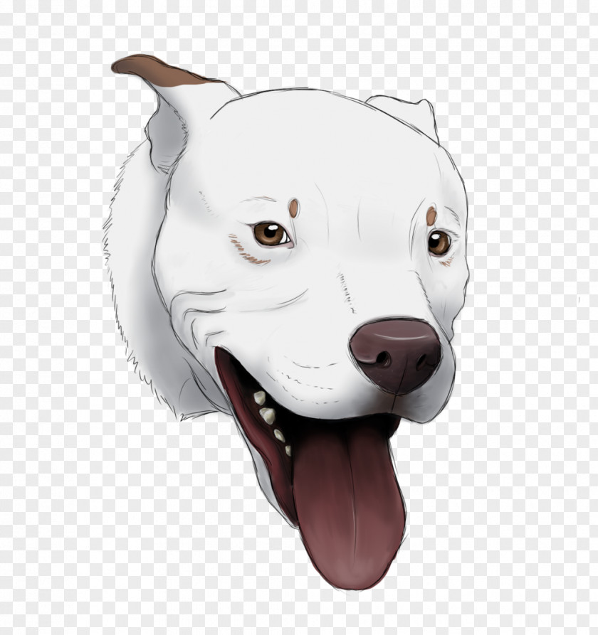 Dog Breed Sporting Group Snout Nose PNG