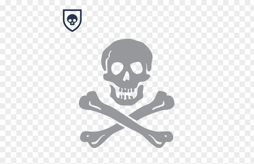 Pirate Jolly Roger The Last Filibusters Skull And Crossbones Stencil PNG