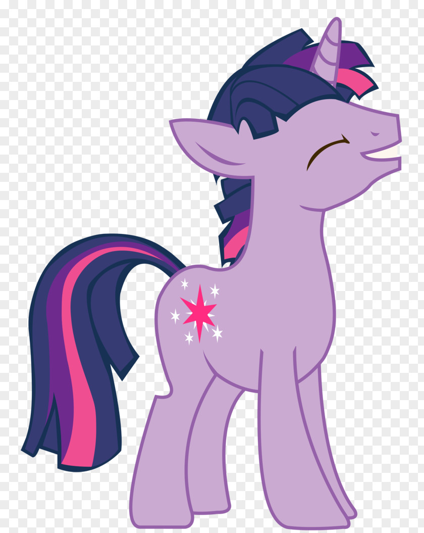 Twilight Sparkle Rarity Pinkie Pie Applejack Pony PNG