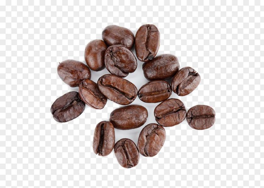 Coffee Cocoa Bean Jamaican Blue Mountain Espresso Food PNG