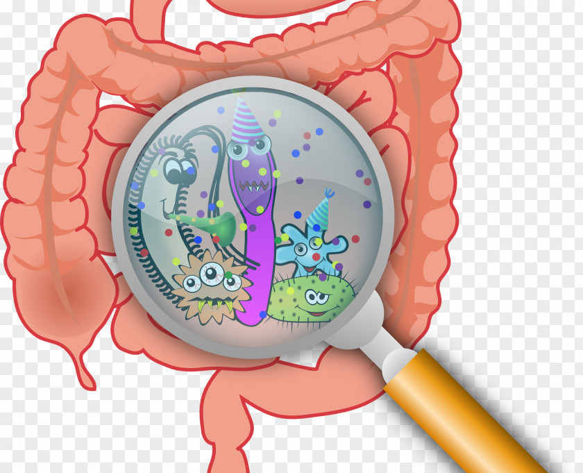 Detail Map Of Bacteria And Viruses Gut Flora Gastrointestinal Tract Health Microbiota Leaky Syndrome PNG