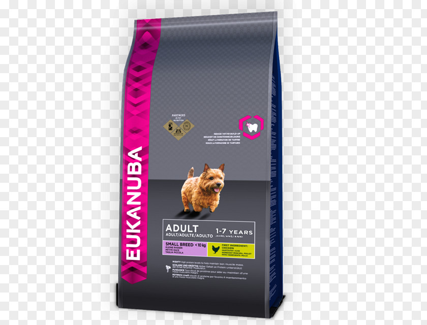 Puppy Golden Retriever Eukanuba Dog Breed Food PNG