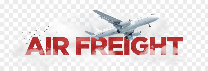 Aircraft Air Cargo Freight Transport Forwarding Agency PNG
