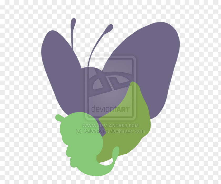 Butterfly Clip Art PNG