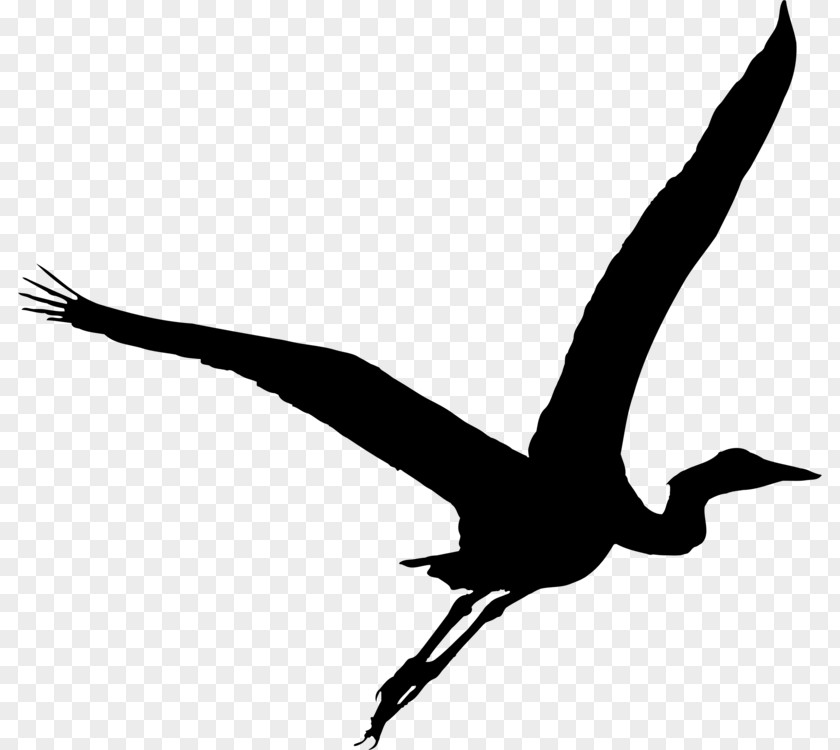 Goose Cranelike Bird Crane PNG