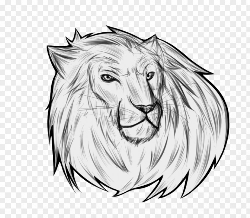 Lion Whiskers Cat Snout Sketch PNG