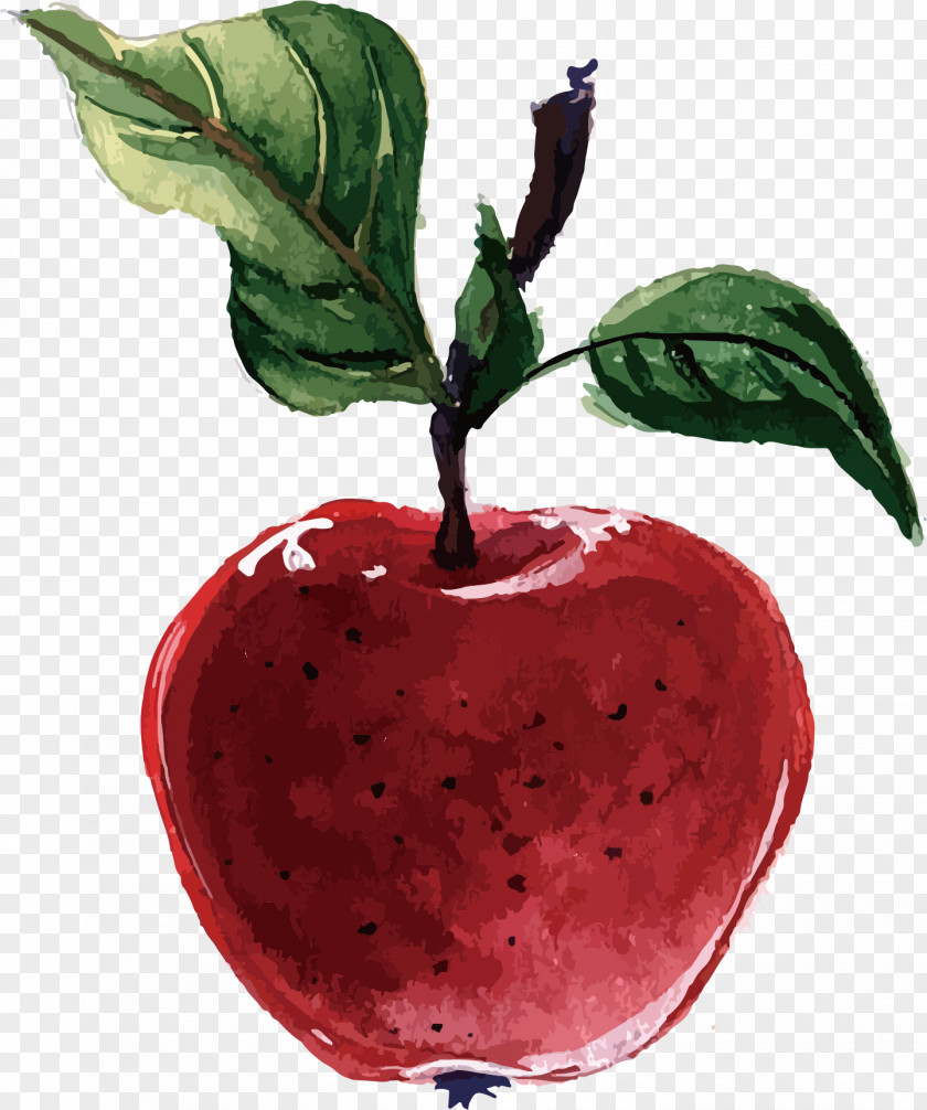 Red Apple Vector Packs Plant-based Diet Adobe Illustrator PNG