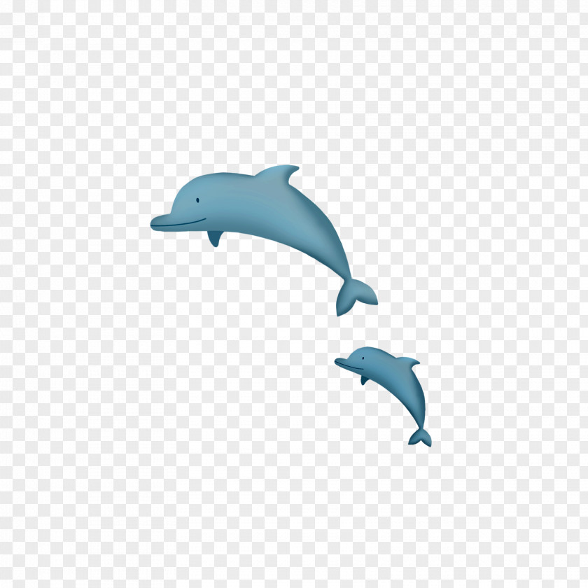 Cartoon Whale Common Bottlenose Dolphin Porpoise Tucuxi PNG