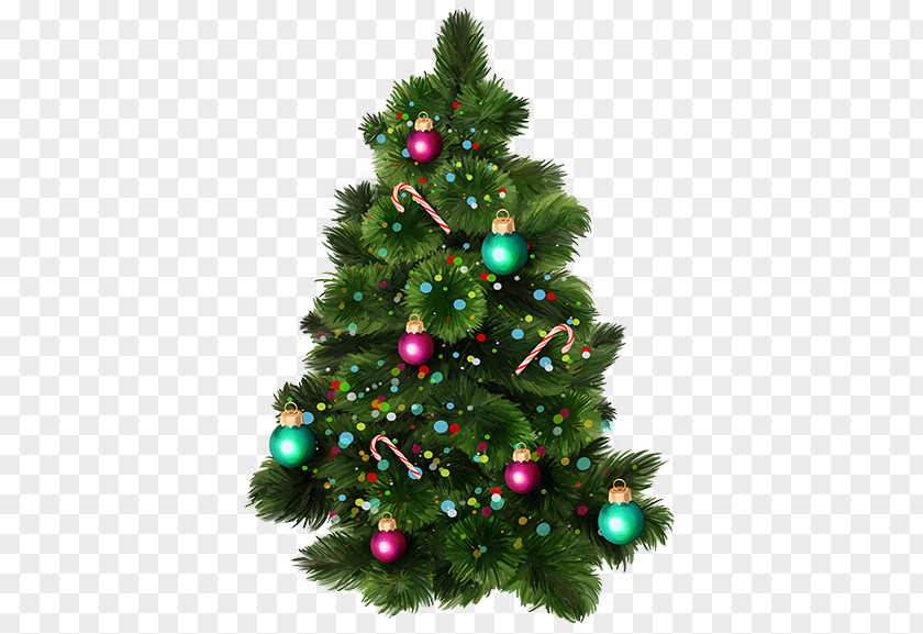 Christmas Tree Pine Fir Clip Art PNG