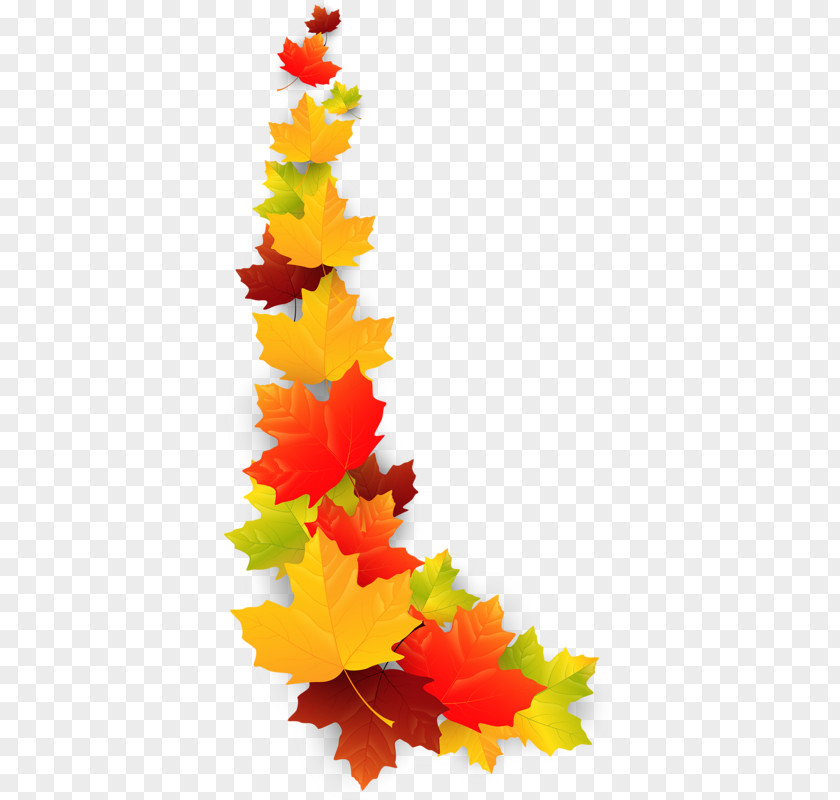 Leaf Clip Art PNG