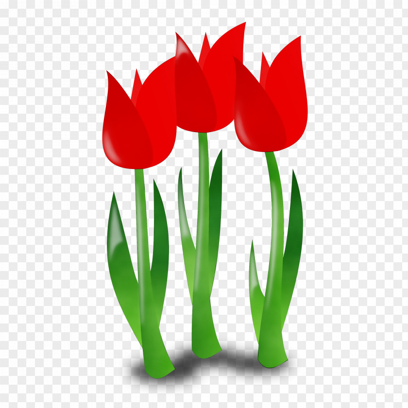 Lily Family Coquelicot Happy Mother's Day PNG