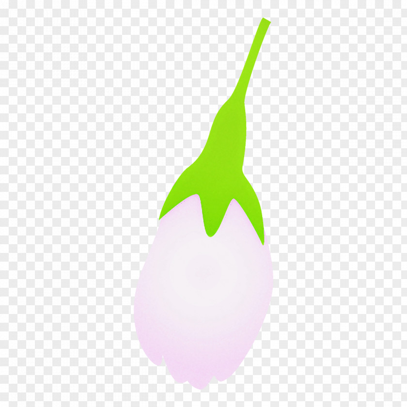 Pear Logo Green Eggplant Leaf Plant Tree PNG