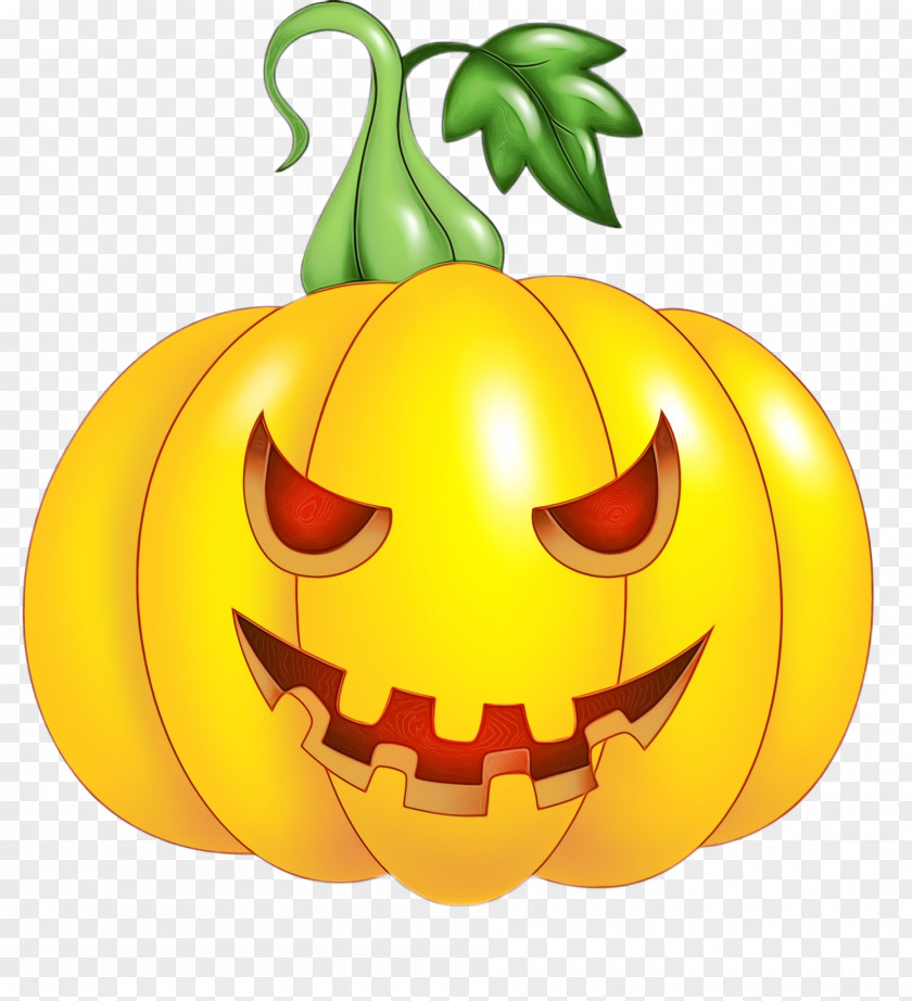 Plant Vegetable Pumpkin PNG