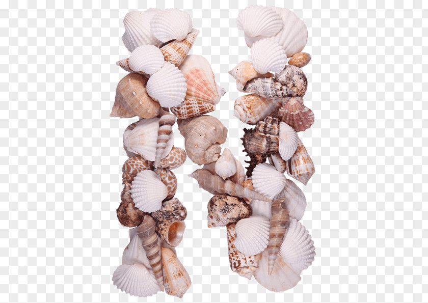 Seashell Letter Conchology Sea Glass Beach PNG
