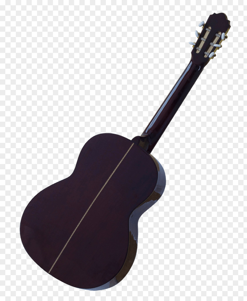 Acoustic Guitar Cavaquinho Bass Tiple Acoustic-electric PNG