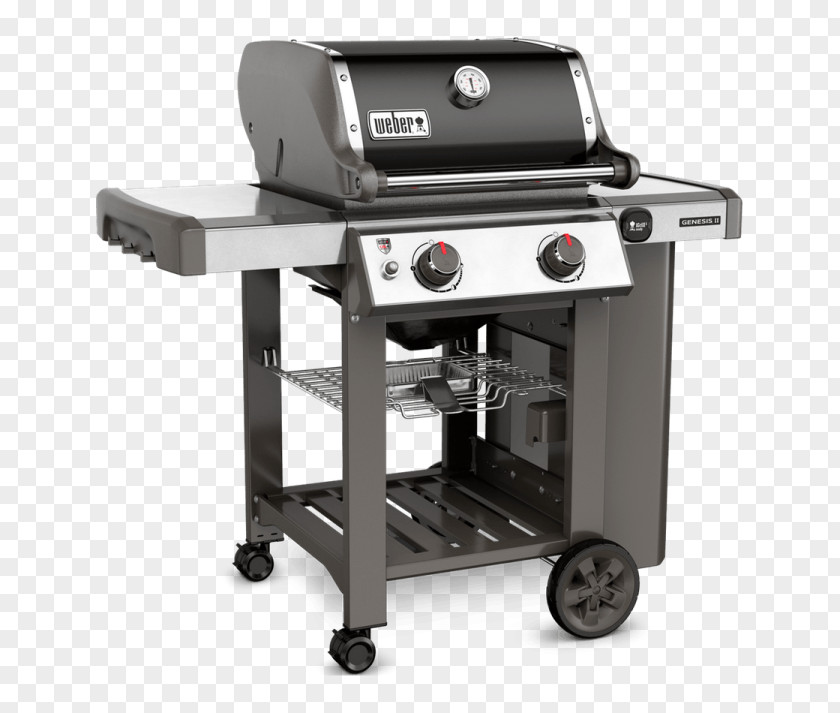 Balcony Grill Barbecue Weber-Stephen Products Natural Gas Propane Liquefied Petroleum PNG