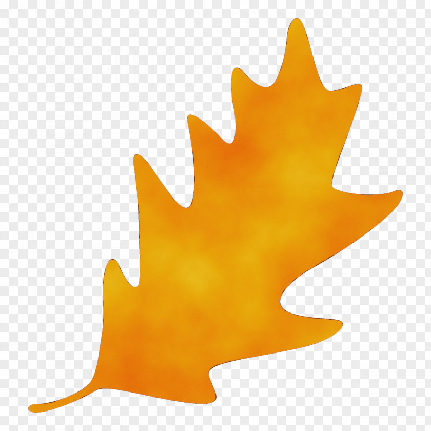 Black Maple Plane Leaf PNG