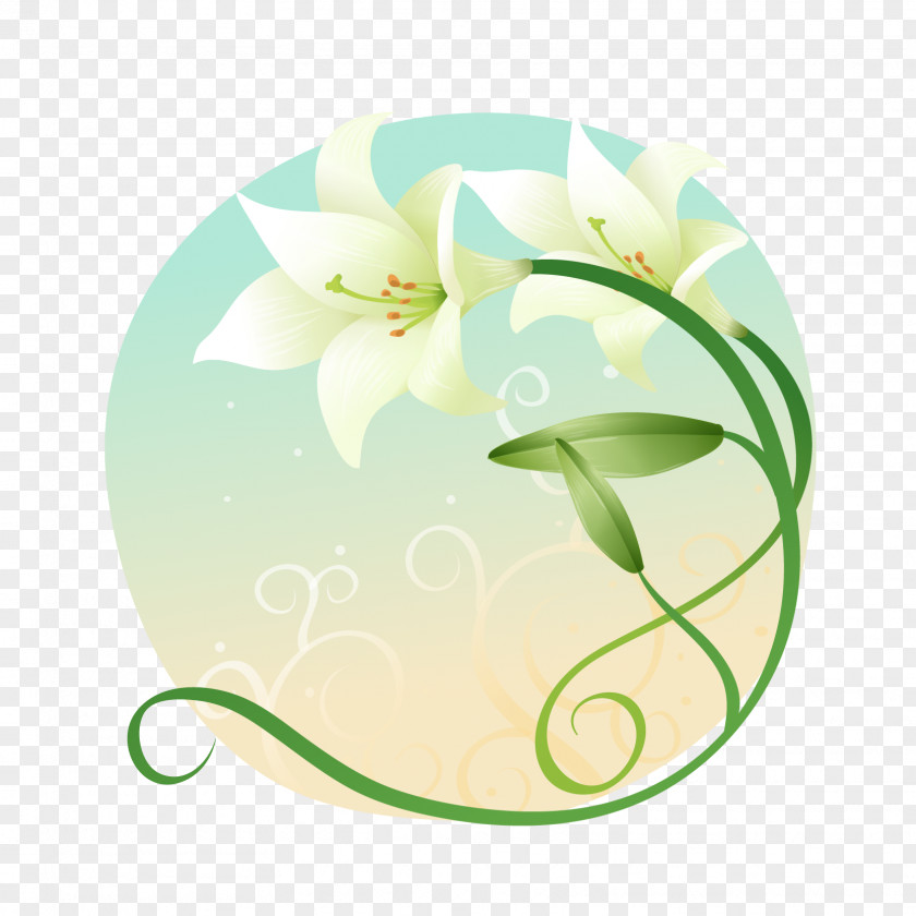 Vector Lily Material Flower Lilium Clip Art PNG