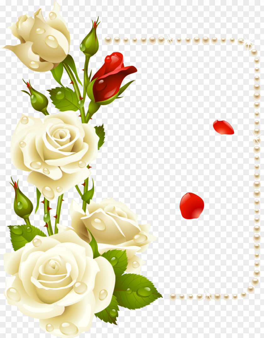 White Roses Rose Borders And Frames Flower Drawing Clip Art PNG