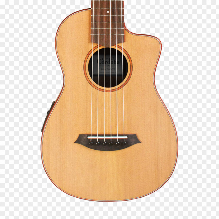 Nylon Bag Godin Acoustic Guitar Classical Seagull PNG