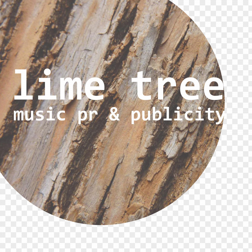 Tree Desktop Wallpaper Trunk Bark PNG