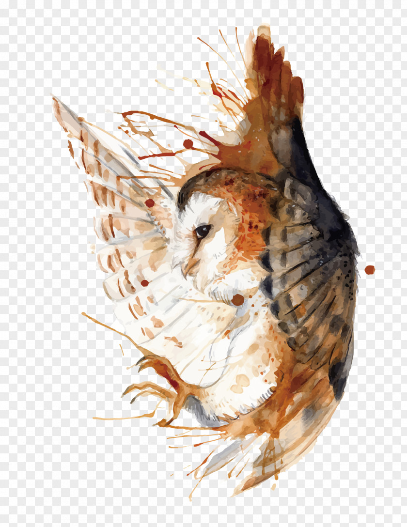 Vector Hand Painted Owl DeviantArt Watercolor Painting Work Of Art PNG