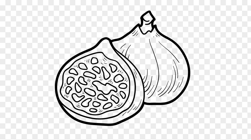 Drawing Coloring Book Common Fig Food PNG