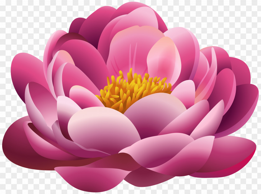 Beautiful Plant Cliparts Pink Flowers Clip Art PNG
