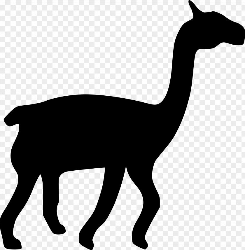 Camel Llama Silhouette Clip Art PNG