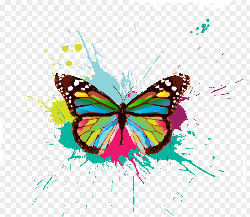 Colorful Butterfly Facebook Paint Color PNG
