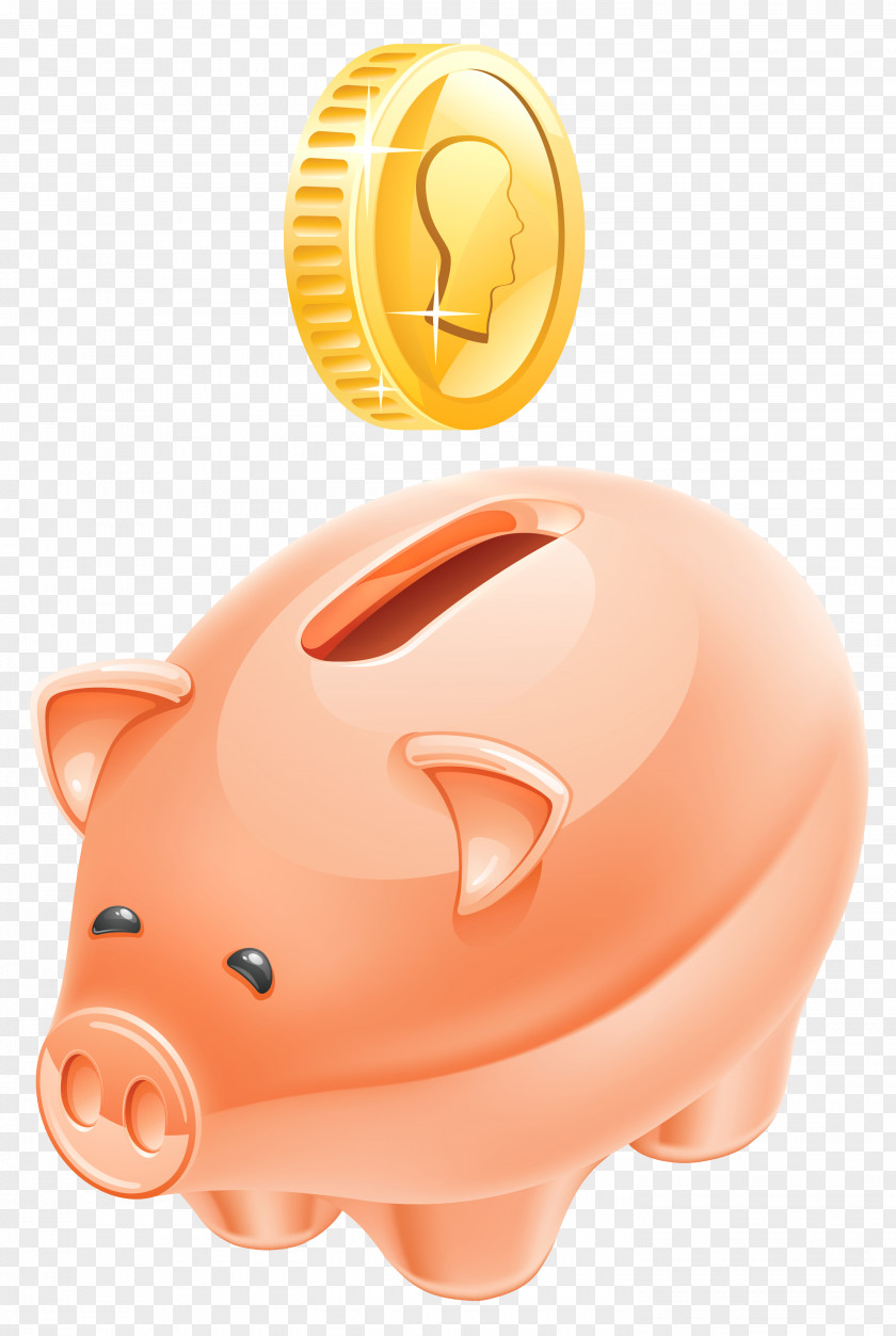 Piggy Bank Picture Money Clip Art PNG