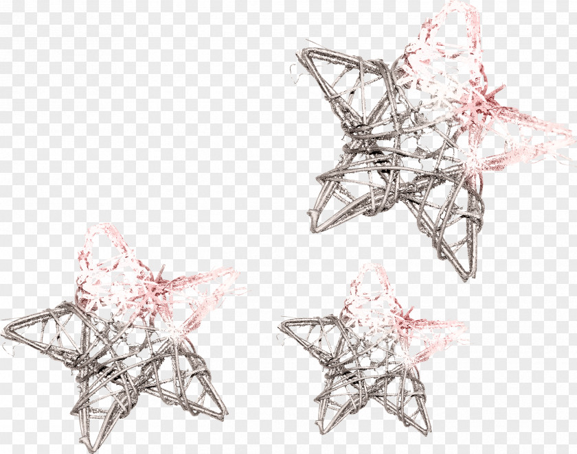 5 Star Picture Frames Winter Clip Art PNG
