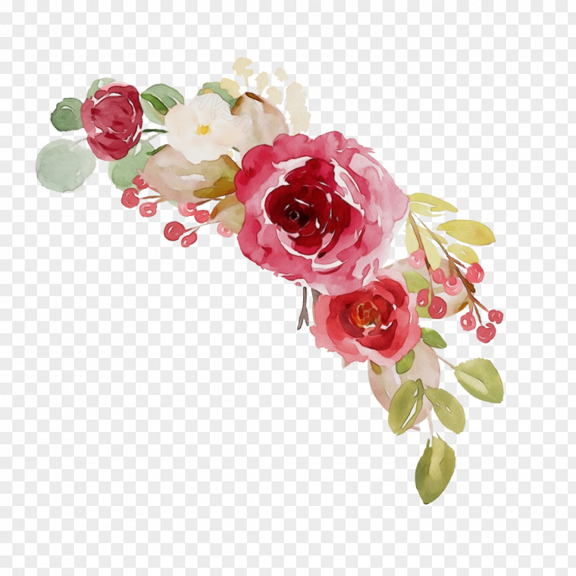 Orchid Prickly Rose Watercolor Flower Background PNG