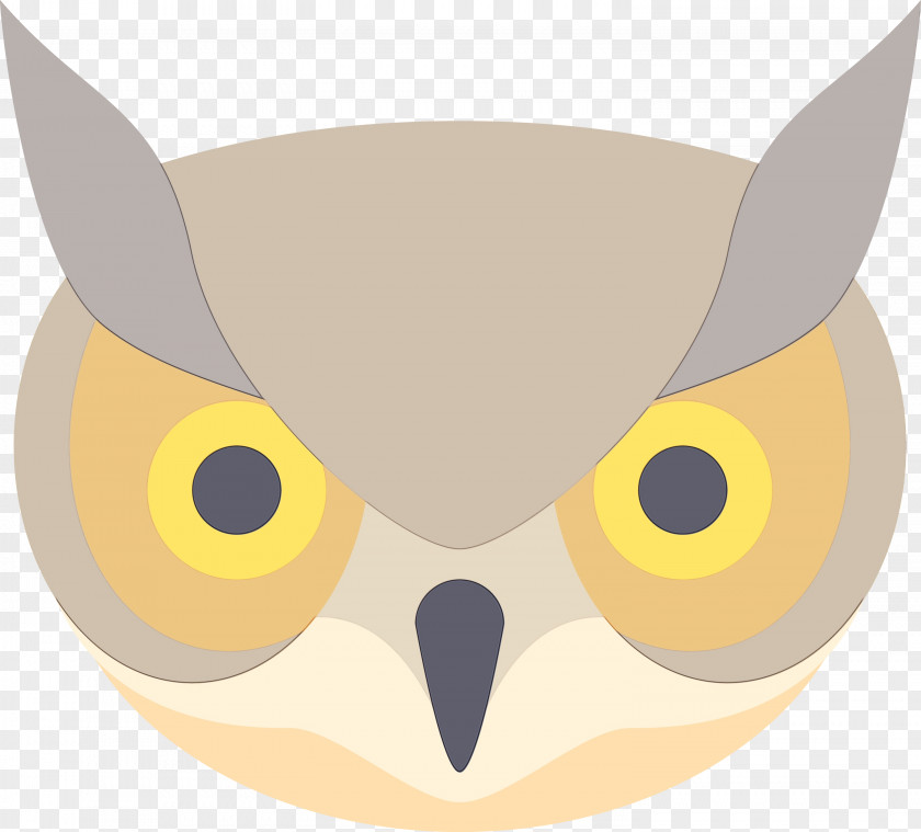 Owl Bird Of Prey Snout PNG